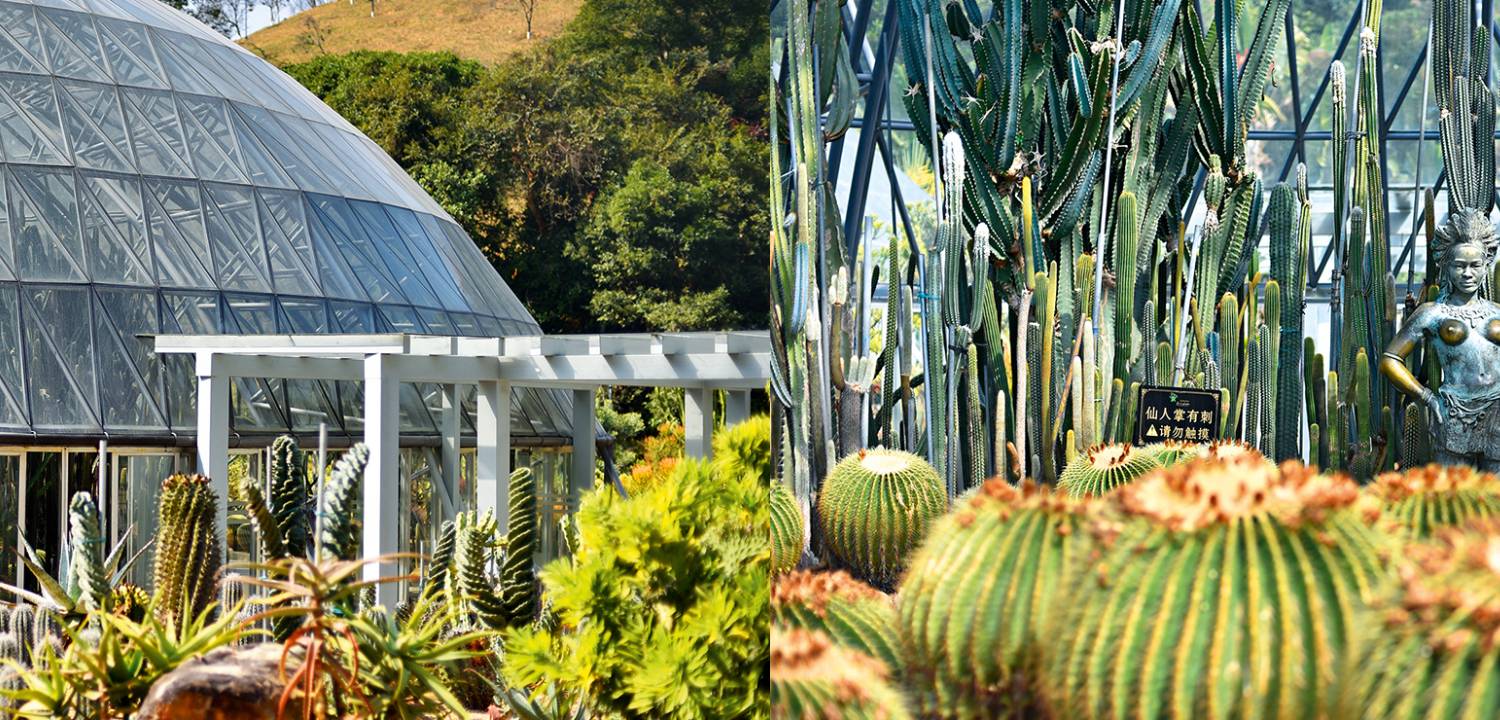 Fairy Lake Botanical Garden