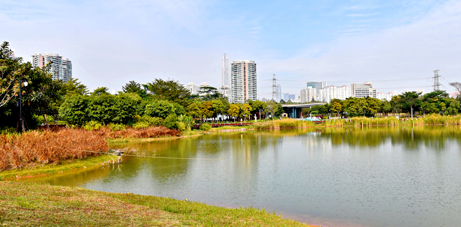 福田紅樹林生態公園