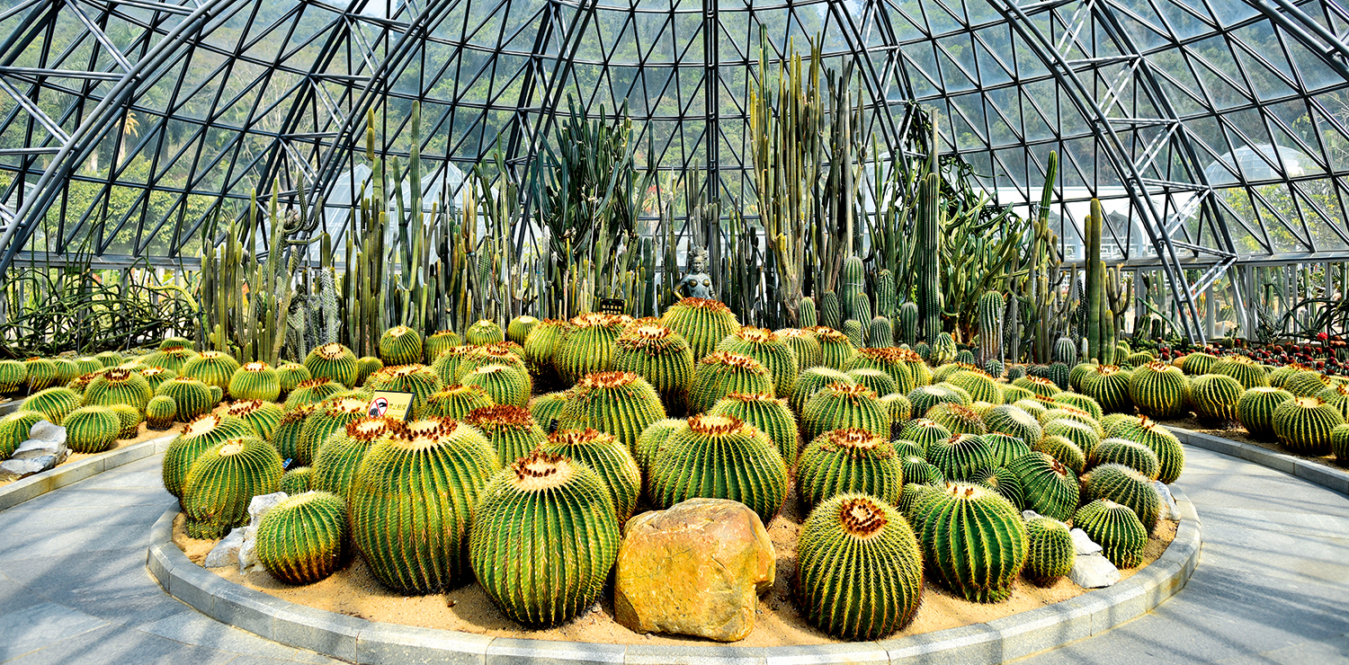 仙湖植物園