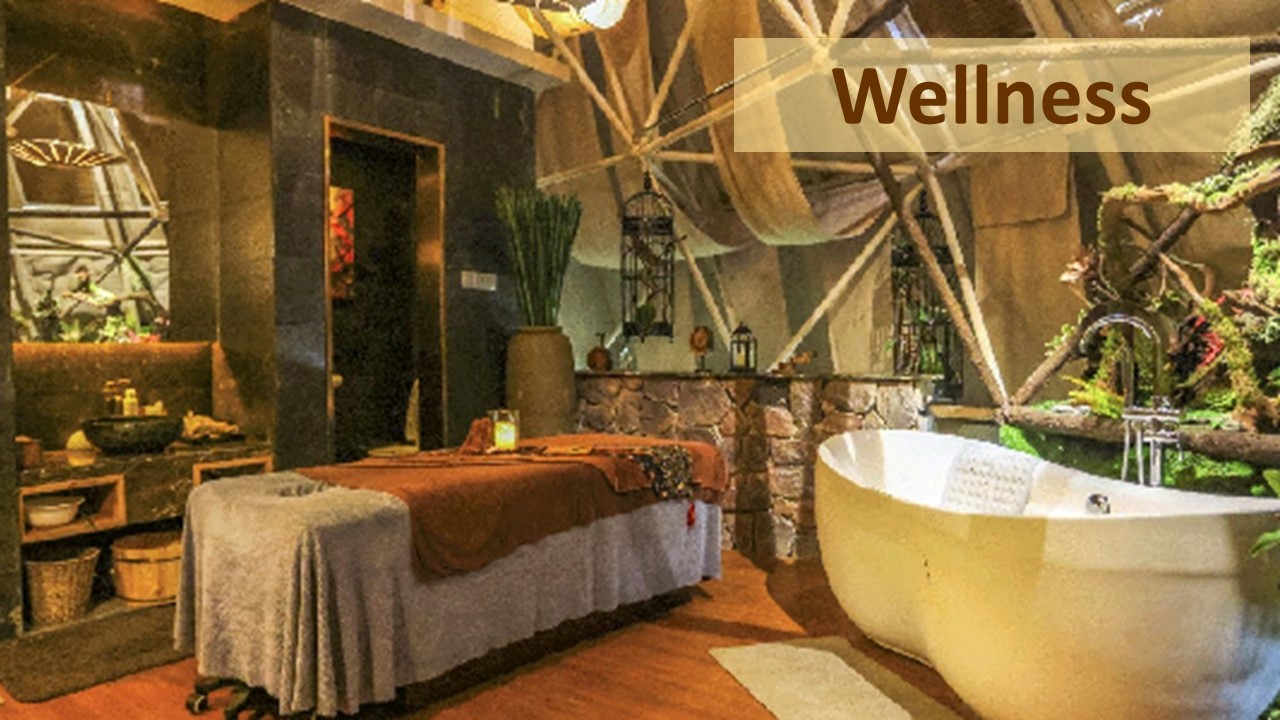 WELLNESS