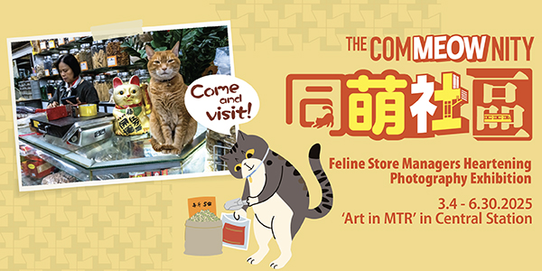 Art in MTR