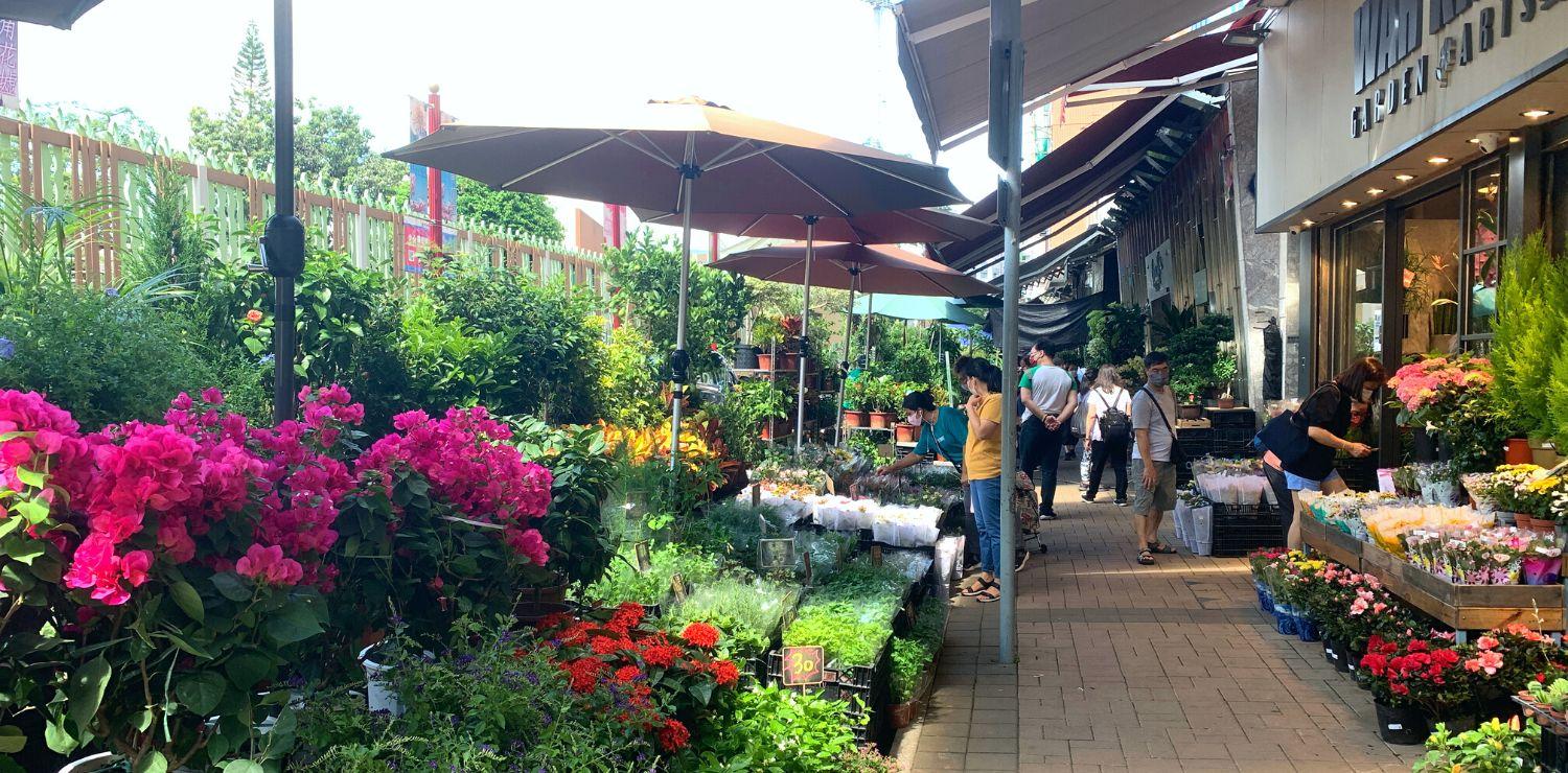 Flower Market