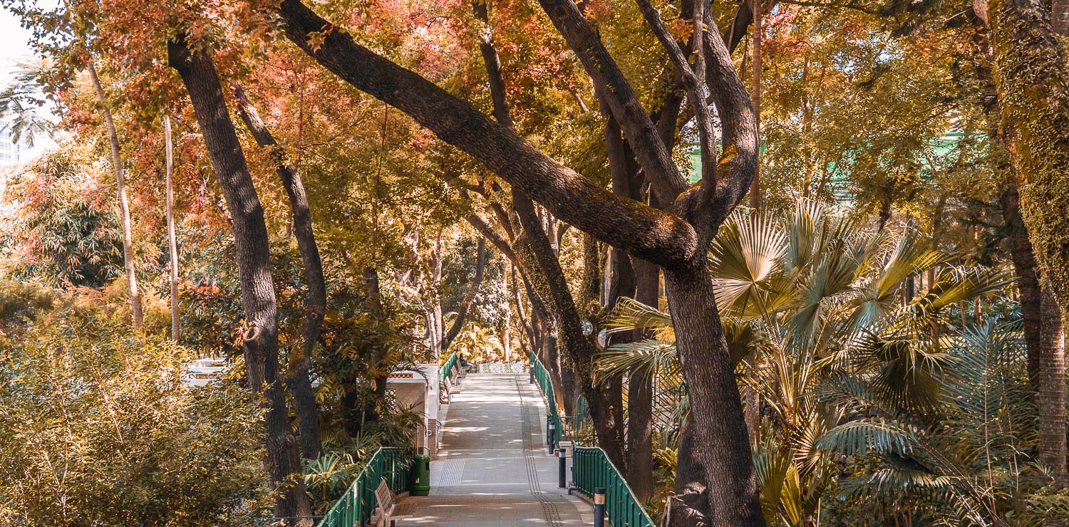 Hong Kong Zoological and Botanical Gardens