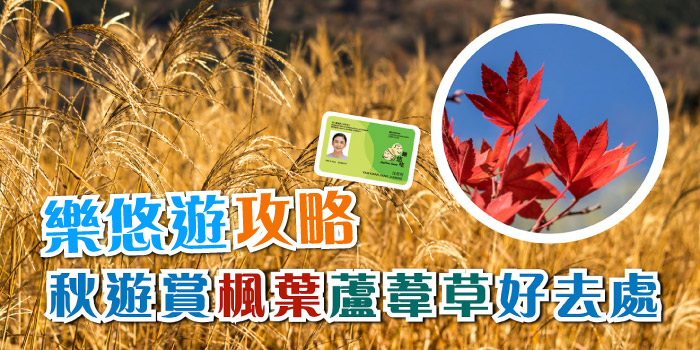 秋遊賞楓葉蘆葦草打卡好去處！
