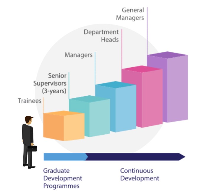 Career Progression option 2