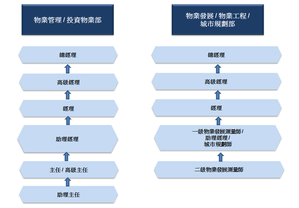 Career Path