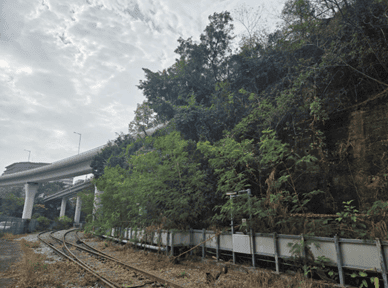 斜坡改善工程