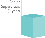 Senior Supervisors (3-year)