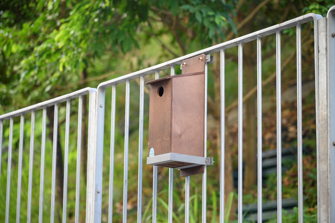 與自然相關的資訊披露